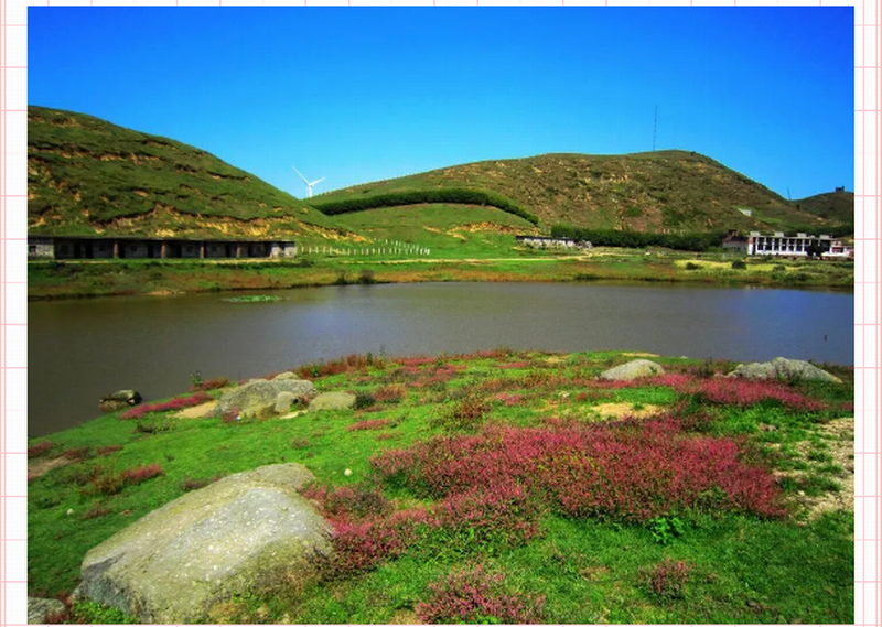 【心靈自駕】‖我不是“藥神”‖但是我這可以安放你那放蕩不羈的心。_門(mén)票預(yù)訂