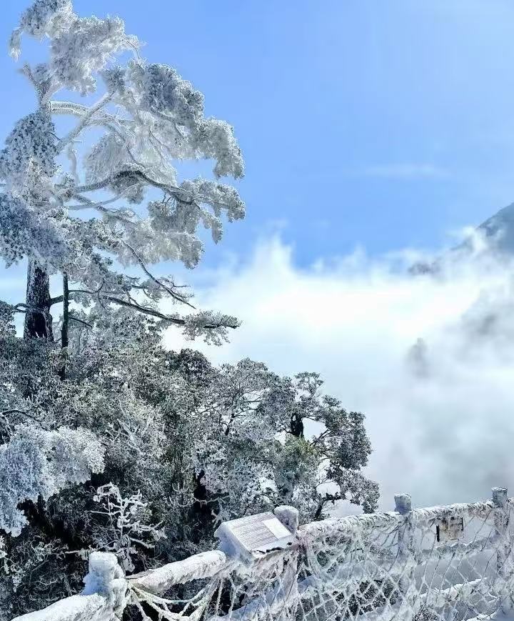 郴州旅游租車/包車34座